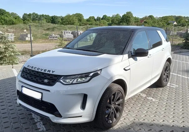 land rover discovery sport dolnośląskie Land Rover Discovery Sport cena 109000 przebieg: 35000, rok produkcji 2021 z Sulęcin